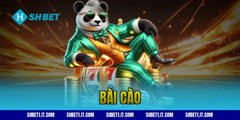 bài cào