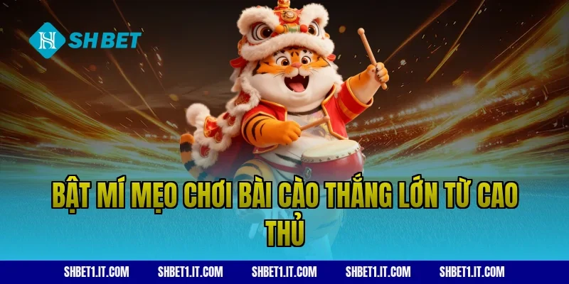 Bật mí mẹo chơi bài cào thắng lớn từ cao thủ