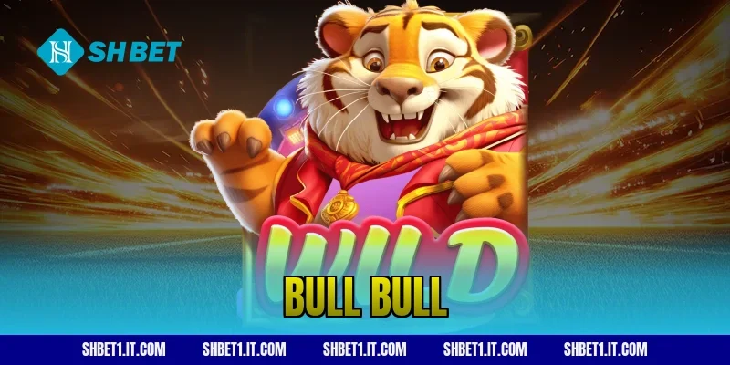 bull bull