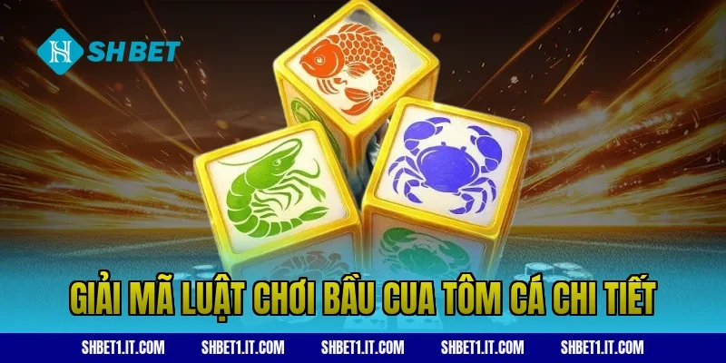 Giải mã luật chơi bầu cua tôm cá chi tiết