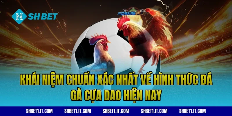 Khái niệm chuẩn xác nhất về hình thức đá gà cựa dao hiện nay