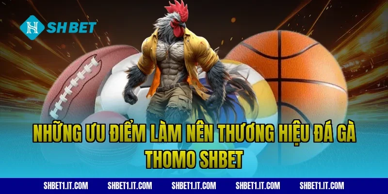 Những ưu điểm làm nên thương hiệu Đá gà Thomo SHBET