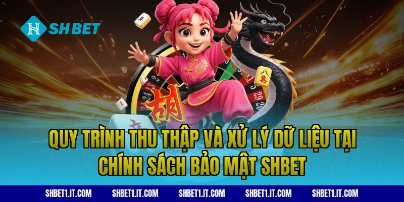 Quy trình thu thập và xử lý dữ liệu tại Chính sách bảo mật SHBET