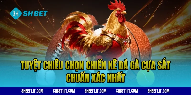 Tuyệt Chiêu Chọn Chiến Kê Đá Gà Cựa Sắt Chuẩn Xác Nhất