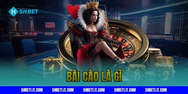 bài cào là gì
