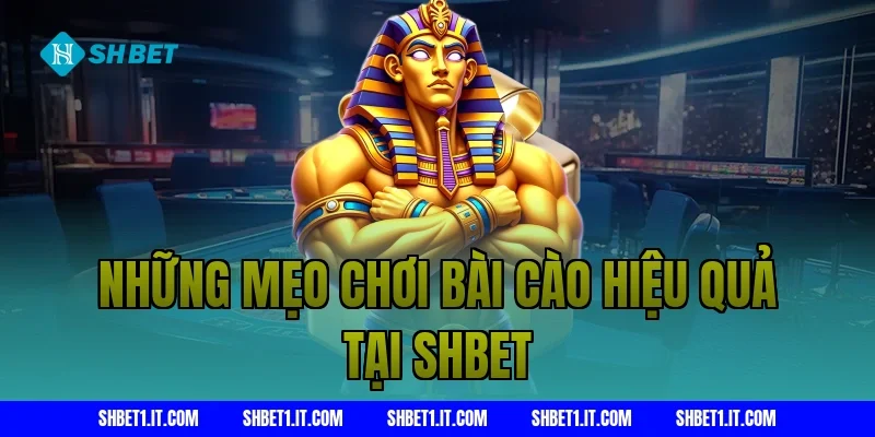 Những Mẹo Chơi Bài Cào Hiệu Quả Tại Shbet